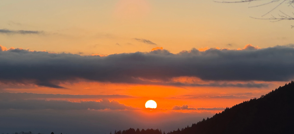 スクリーンショット 2026-01-16 154043